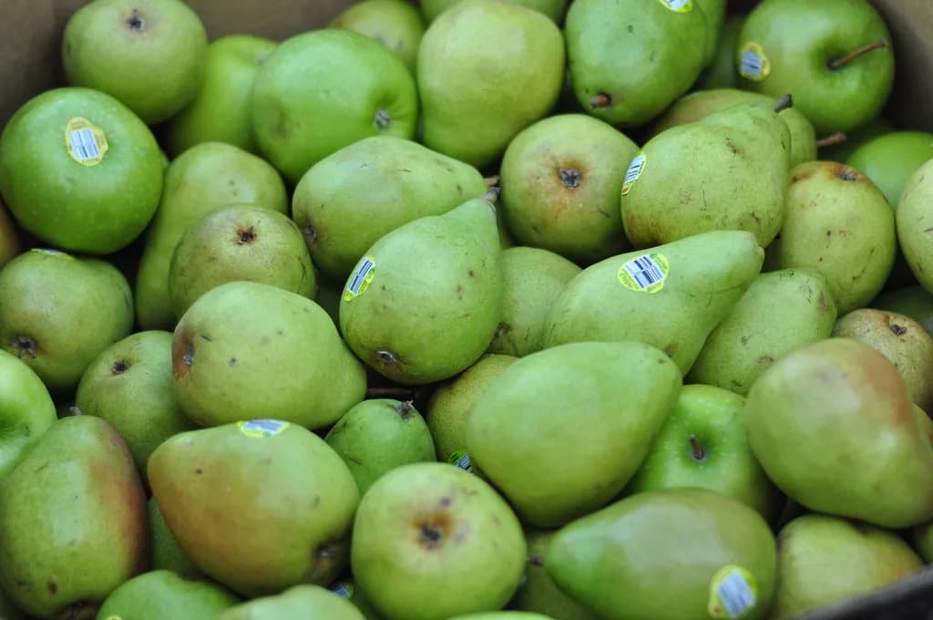 Healthy, affordable meals and fresh ingredients — How to Meal Plan on a Small Budget