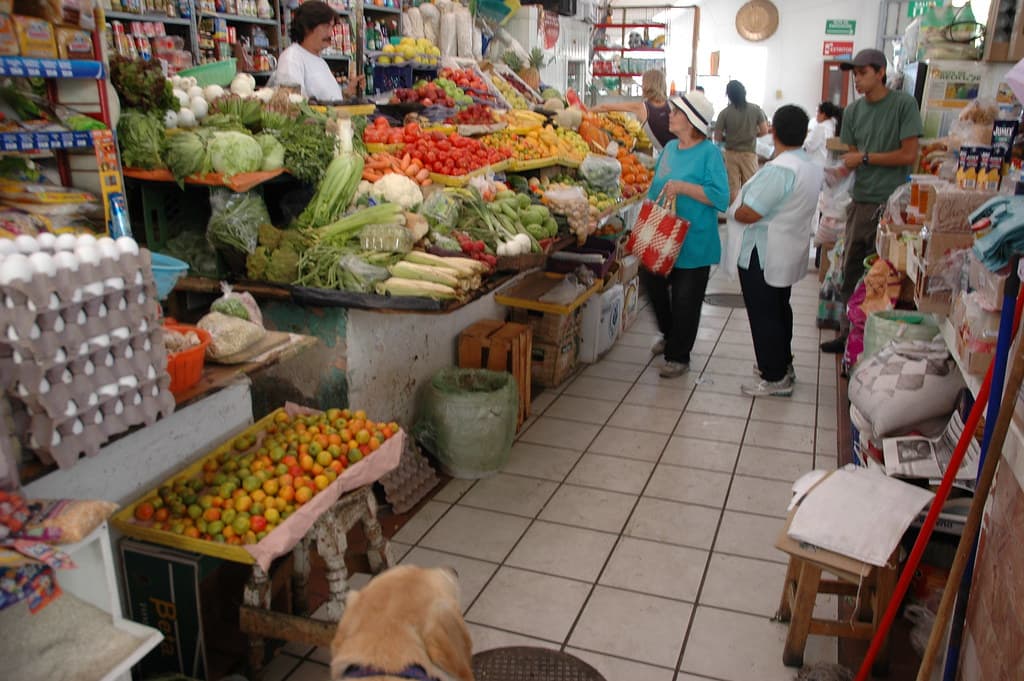 People grocery shopping at the local neighborhood market, fresh produce, eggs, and Breda the dog, Zona Centro, Guadalaja